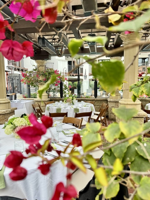 Reception - Belle Haven Events Minnesota